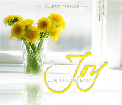 Joy In The Journey