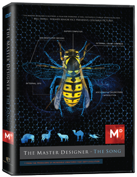 The Master Designer - The Song