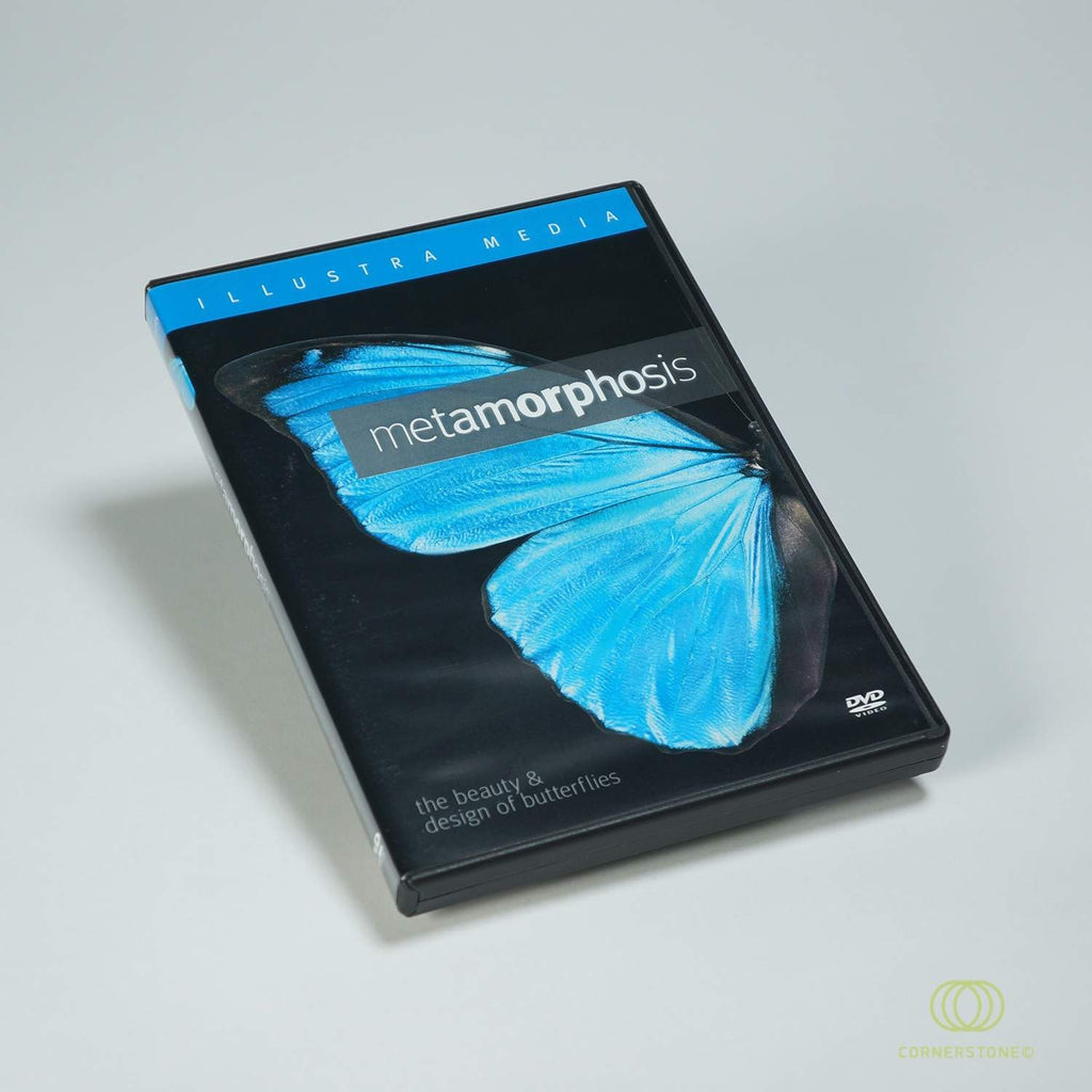 Metamorphosis: The Beauty & Design of Butterflies